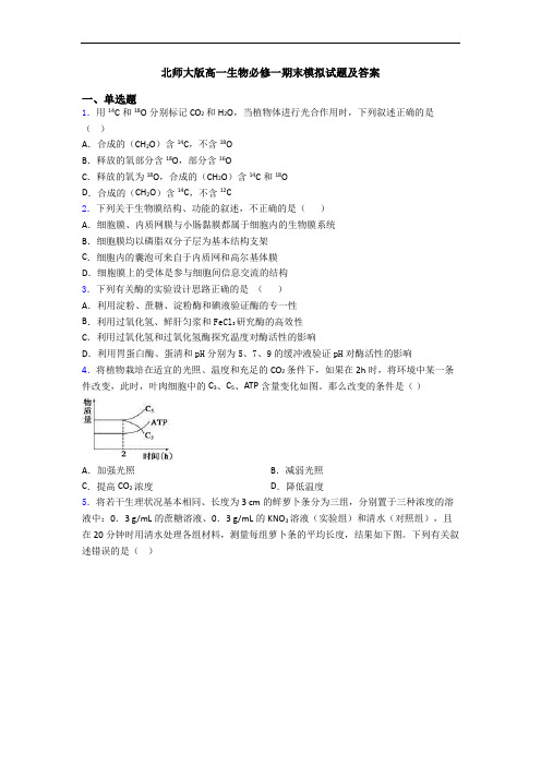 北师大版高一生物必修一期末模拟试题及答案