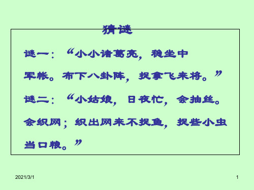 人教版七年级语文上册《绿色蝈蝈》PPT精品课件