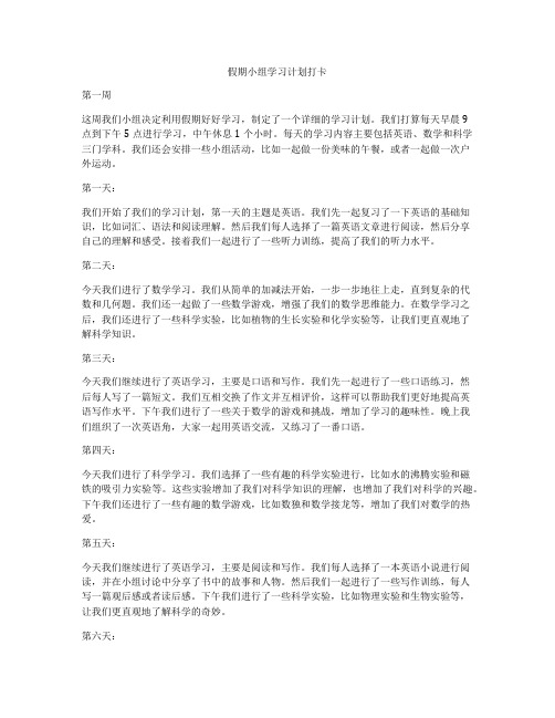 假期小组学习计划打卡