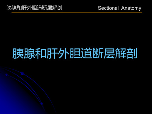 胰腺和肝外胆道断层解剖