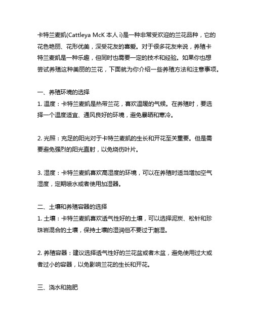 卡特兰 麦凯的养殖方法和注意事项