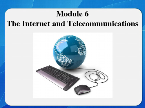 2018届高三英语一轮复习课件：Book 1Module 6 The Internet and Telecommunications考点梳理 课件