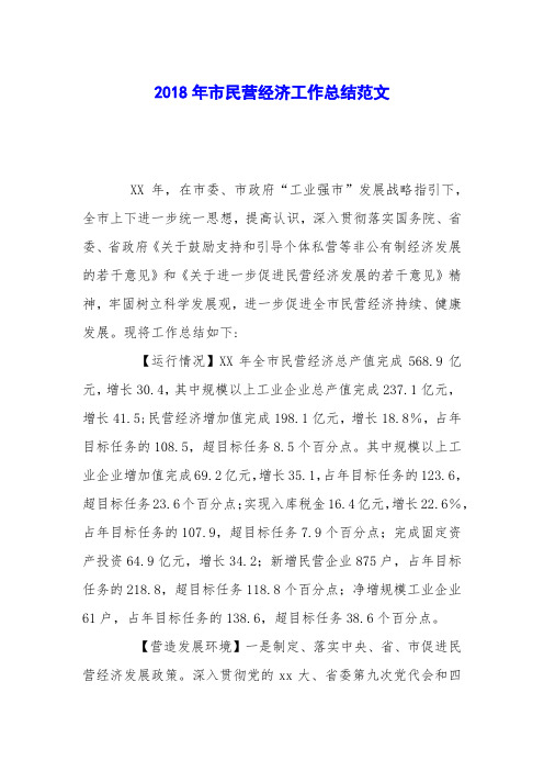 2018年市民营经济工作总结范文