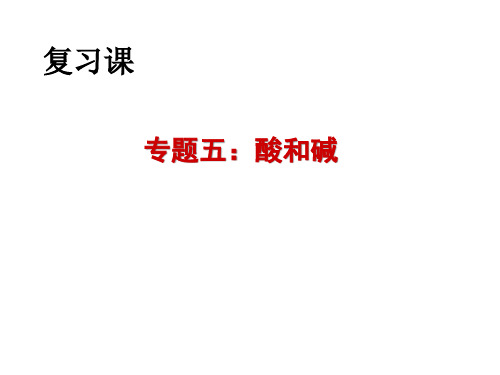 鲁教版九年级化学 期末复习 酸碱盐(共29张PPT)