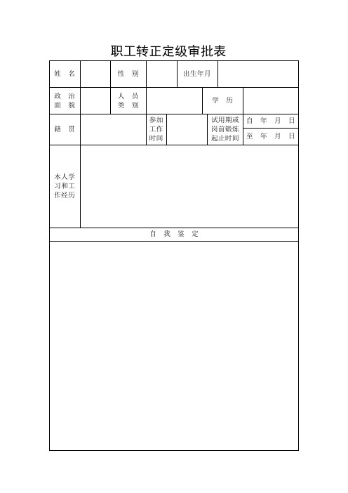 职工转正定级审批表