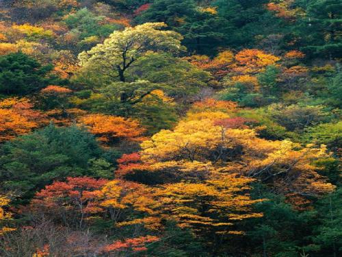 部编版一年级上册部编本语文上《秋天》高清课件