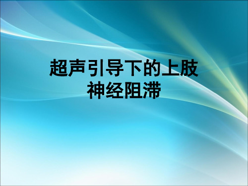 超声引导下的神经阻滞ppt课件