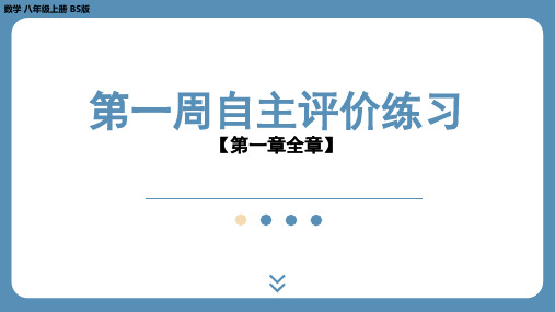 2024-2025学年度北师版八上数学-第一周自主评价练习【第一章全章】(课件)