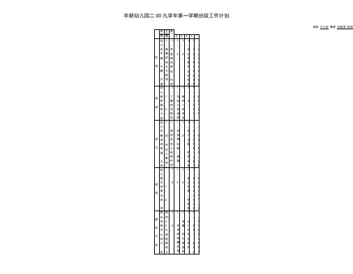 华新幼儿园二00九学年第一学期班级工作计划.