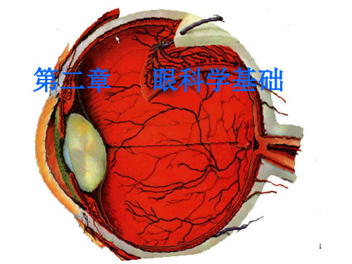 眼科学基础