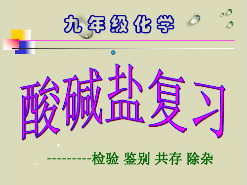 中考复习酸碱盐复习课检验鉴别共存除杂【精选】