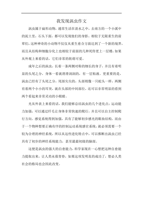 我发现涡虫作文