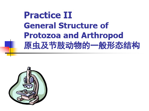 兽医学-动物寄生虫课件2