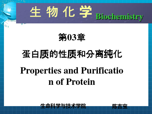 蛋白质的通性、纯化与表征