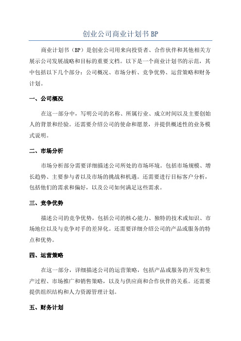 创业公司商业计划书BP