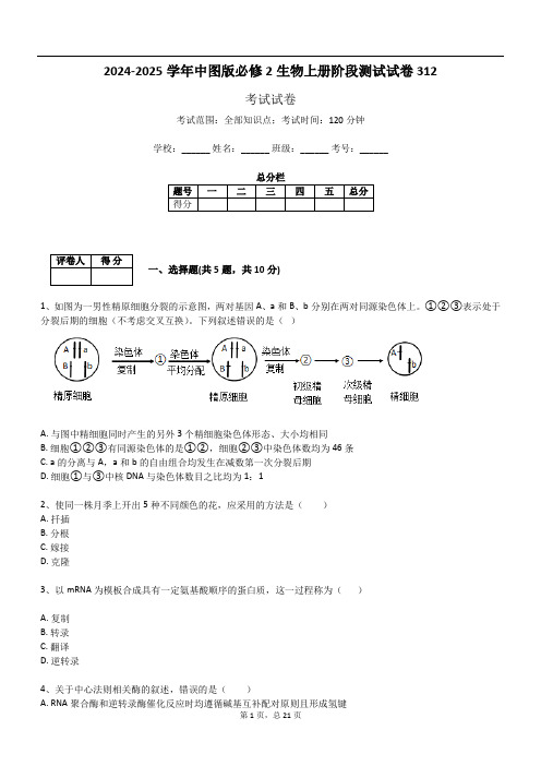 2024-2025学年中图版必修2生物上册阶段测试试卷312