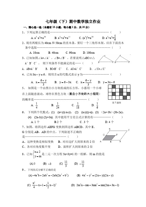 七年级(下)期中数学独立作业.doc