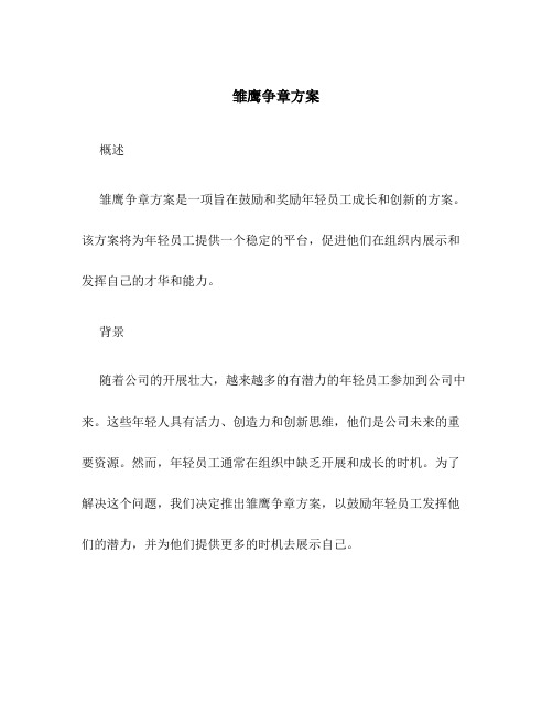 雏鹰争章方案