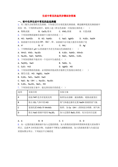 生活中常见的盐同步测试含答案