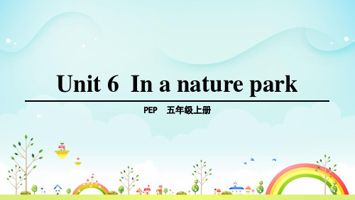 pep五年级Unit 6 In a nature park Part B 第1课时 (6)-课件