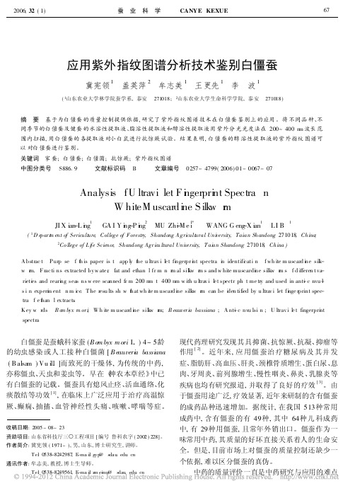 应用紫外指纹图谱分析技术鉴别白僵蚕_冀宪领