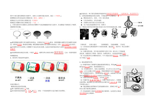 将叶片放在盛有酒精的小烧杯中