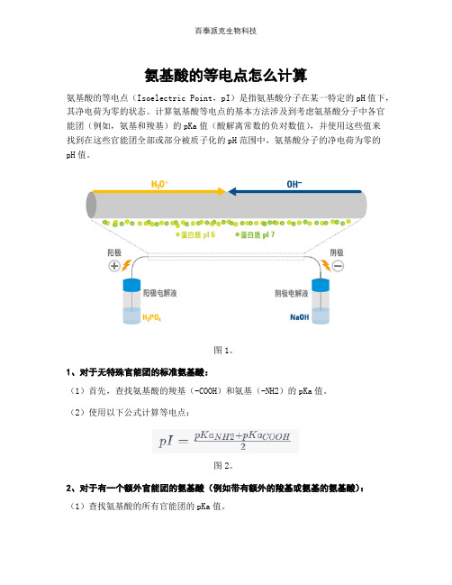 氨基酸的等电点怎么计算