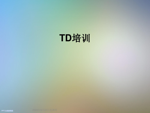 TD培训