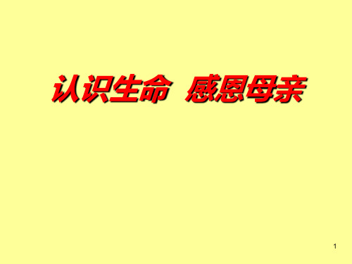 中小学主题班会课件——认识生命感恩母亲(共23张PPT)