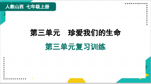 2024年人教版七年级上册道德与法治第三单元复习训练