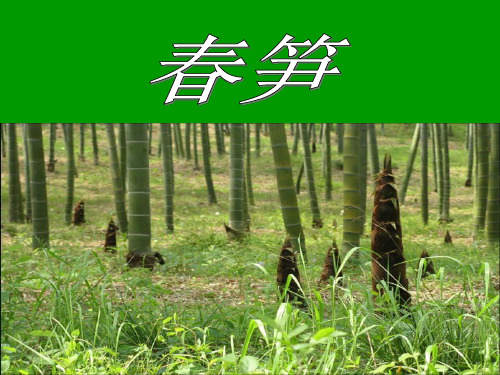 《春笋》课件苏教版一年级语文下册课件.ppt