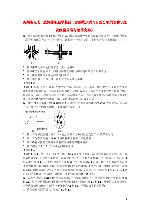 高中生物 高频考点七 遗传的细胞学基础(含减数分裂与有丝分裂的图像识别及细胞分裂与遗传变异)