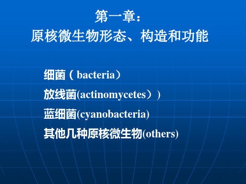 原核微生物形态、构造和功能