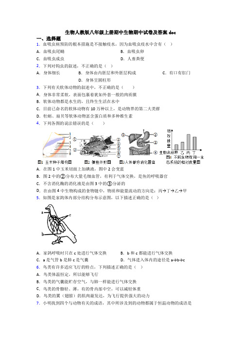 生物人教版八年级上册期中生物期中试卷及答案doc