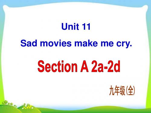 新目标英语九年级Unit 11 Section A-2教学课件