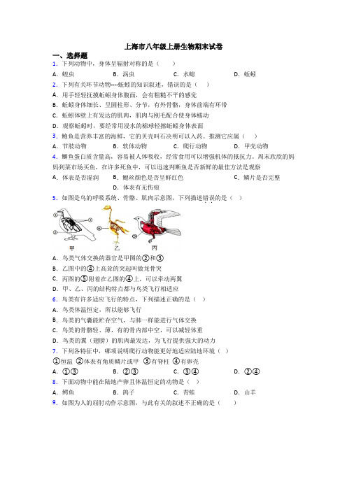 上海市八年级上册生物期末试卷