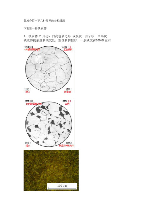 讲义：金相组织