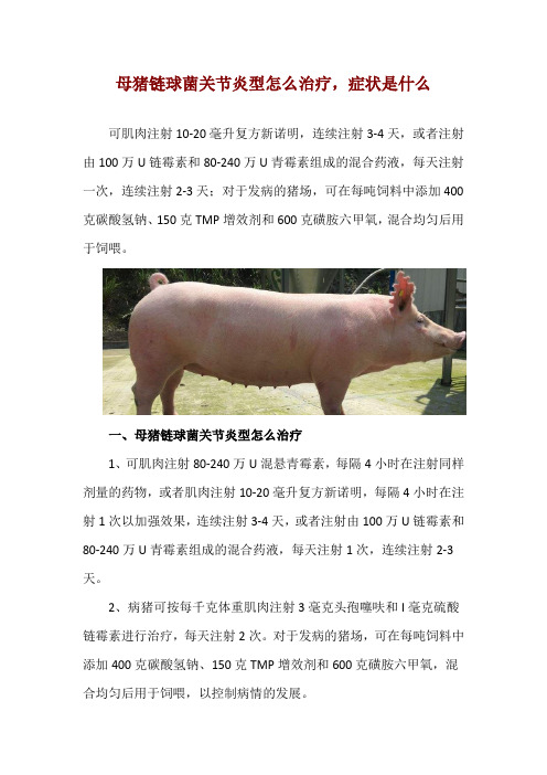 母猪链球菌关节炎型怎么治疗,症状是什么