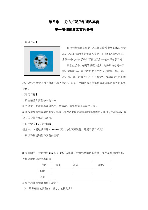 八年级生物上册第五单元第四章第一节细菌和真菌的分布导学案(无答案)(新版)新人教版