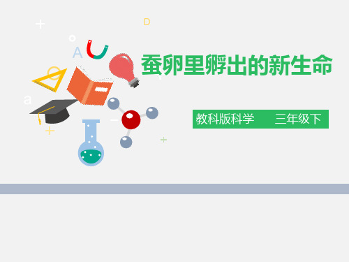 《蚕卵里孵出的新生命》动物的生命周期(ppt)课件