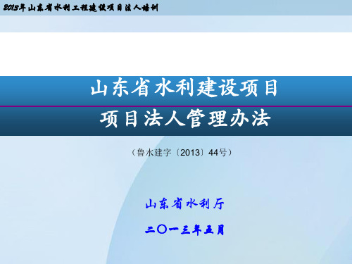 某省水利建设项目项目法人管理办法PPT(共 34张)