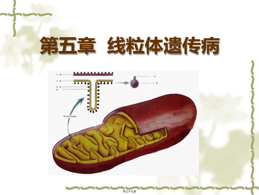 医学遗传学-线粒体遗传病