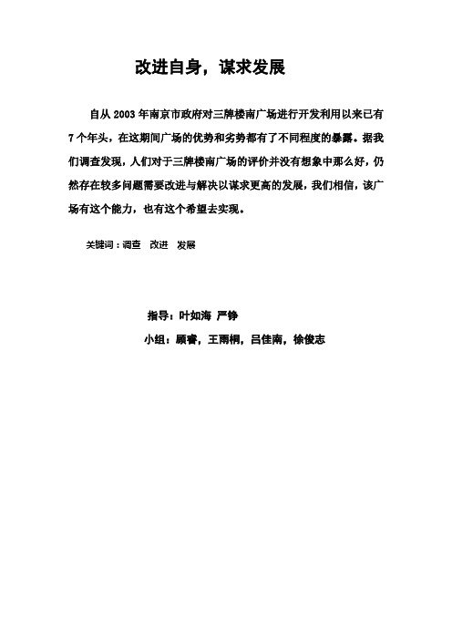 三牌楼调研报告