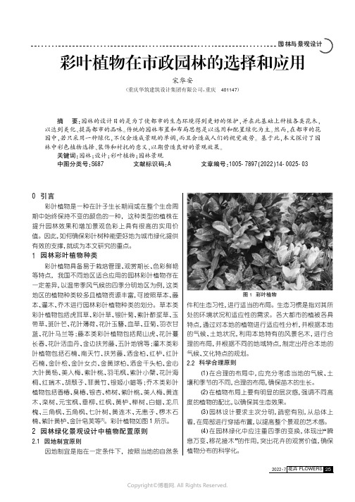 彩叶植物在市政园林的选择和应用