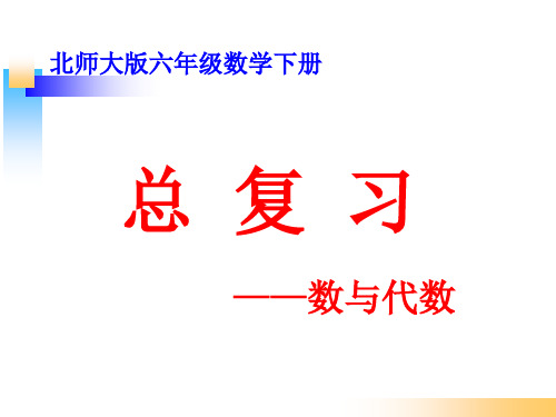 北师大版六年级数学下册《总复习-数与代数》PPT