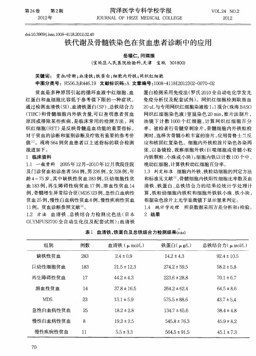 铁代谢及骨髓铁染色在贫血患者诊断中的应用