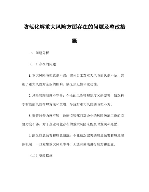 防范化解重大风险方面存在的问题及整改措施