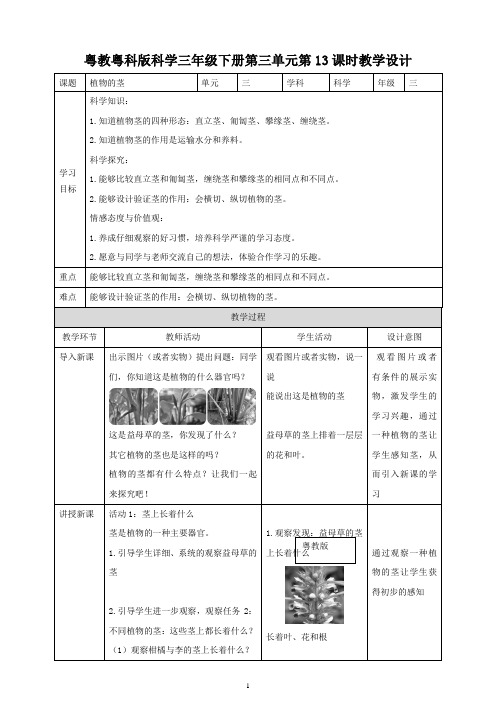 粤教粤科版小学科学三下第三单元第13课时《植物的茎》教案