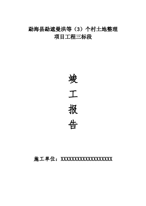 土地整治项目工程竣工验收报告