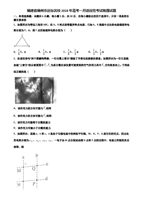 福建省福州市达标名校2018年高考一月适应性考试物理试题含解析